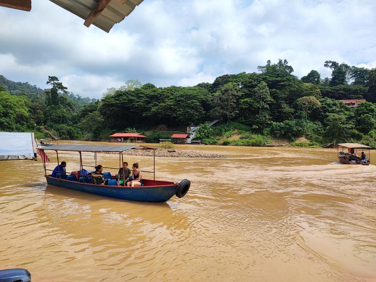 Tekoma Resort Taman Negara กัวลาทาฮัน ภายนอก รูปภาพ