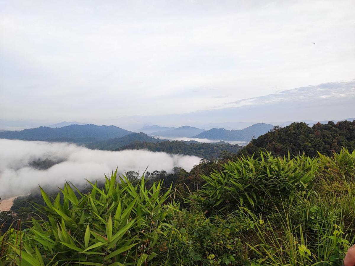 Tekoma Resort Taman Negara กัวลาทาฮัน ภายนอก รูปภาพ
