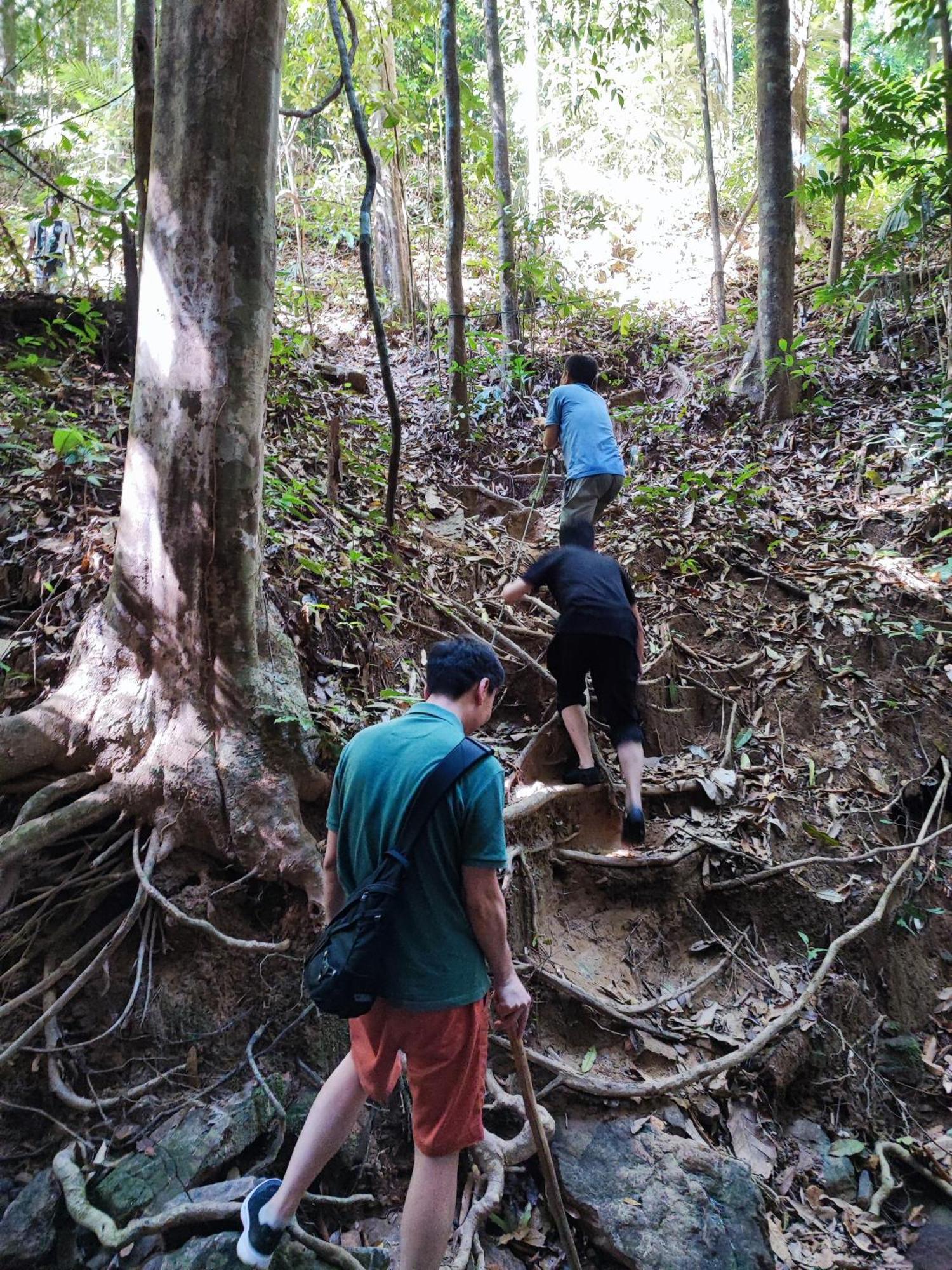 Tekoma Resort Taman Negara กัวลาทาฮัน ภายนอก รูปภาพ