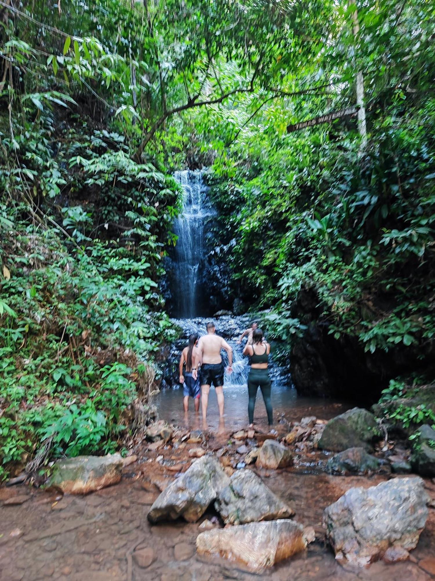 Tekoma Resort Taman Negara กัวลาทาฮัน ภายนอก รูปภาพ