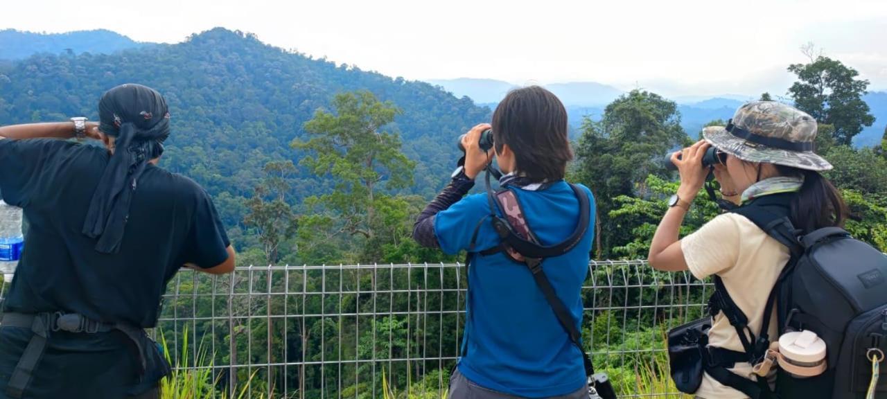 Tekoma Resort Taman Negara กัวลาทาฮัน ภายนอก รูปภาพ