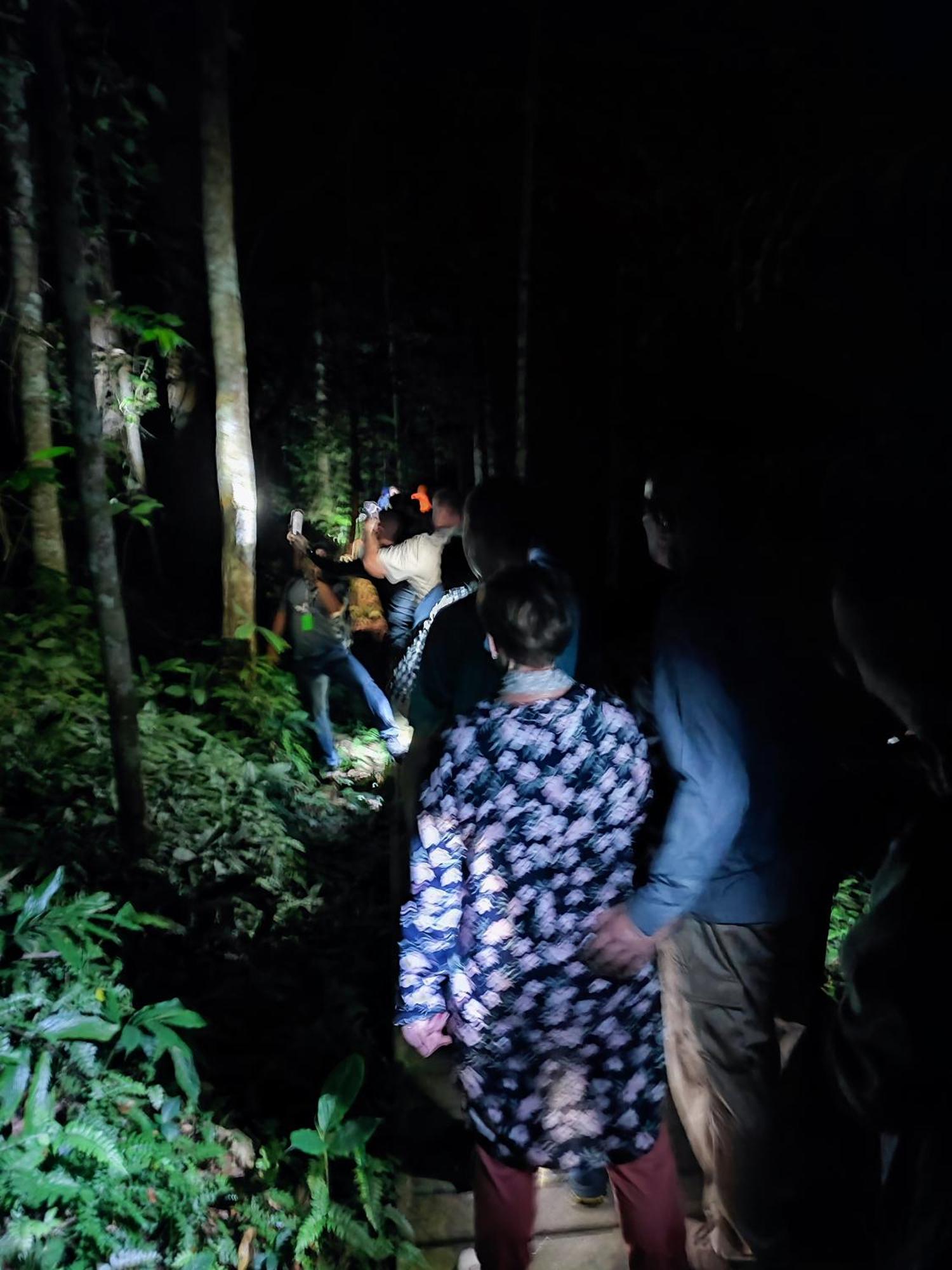 Tekoma Resort Taman Negara กัวลาทาฮัน ภายนอก รูปภาพ